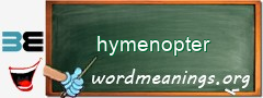 WordMeaning blackboard for hymenopter